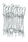 Gared Performance Sports Systems Welded Steel Chain Basketball Net for Playground Use (GPS - WCN) - SchoolOutlet