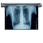 Ghent Hold - Up Display Rail - 72