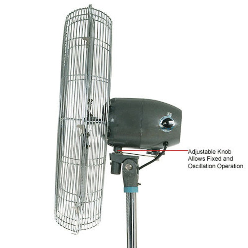 Global Industrial 30" Oscillating Pedestal Fan, 8,775 CFM, 1/3 HP, 1 Phase (GLB - 585280) - SchoolOutlet