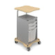 Computer Carts & Caddies