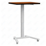 Haskell Education Fuzion Series Mobile Sit to Stand Adjustable Desk - 22