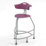Haskell Education 360 Platinum frame Chair with Back 30