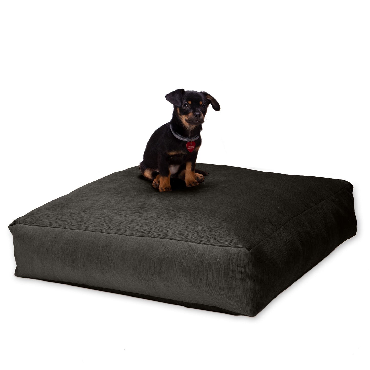 Jaxx Brio Large Décor Floor Pillow / Meditation Yoga Cushion, Plush Microvelvet (18680) - SchoolOutlet