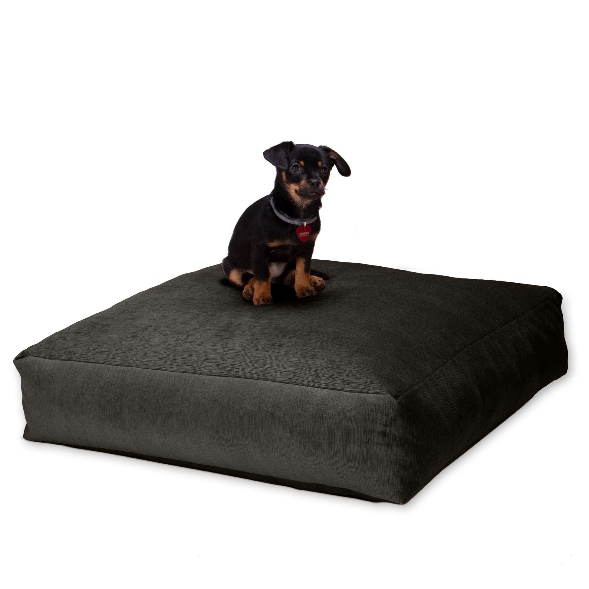 Jaxx Brio Large Décor Floor Pillow / Meditation Yoga Cushion, Plush Microvelvet (18680) - SchoolOutlet
