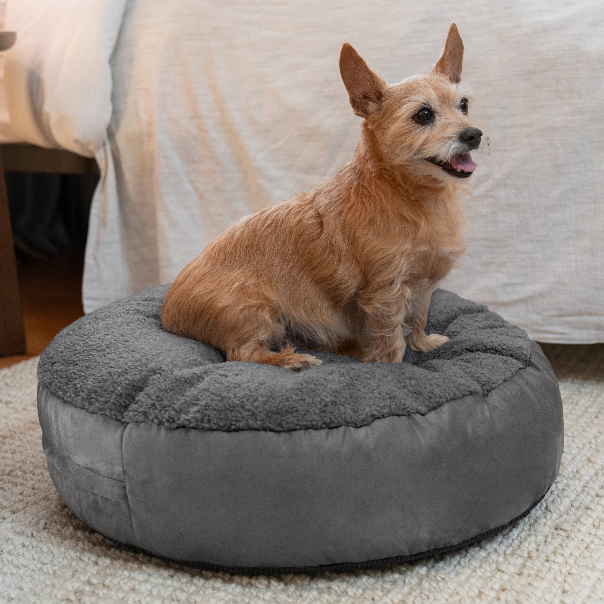 Jaxx Robbi Round Pet Bed, Small (JAX - 19727) - SchoolOutlet
