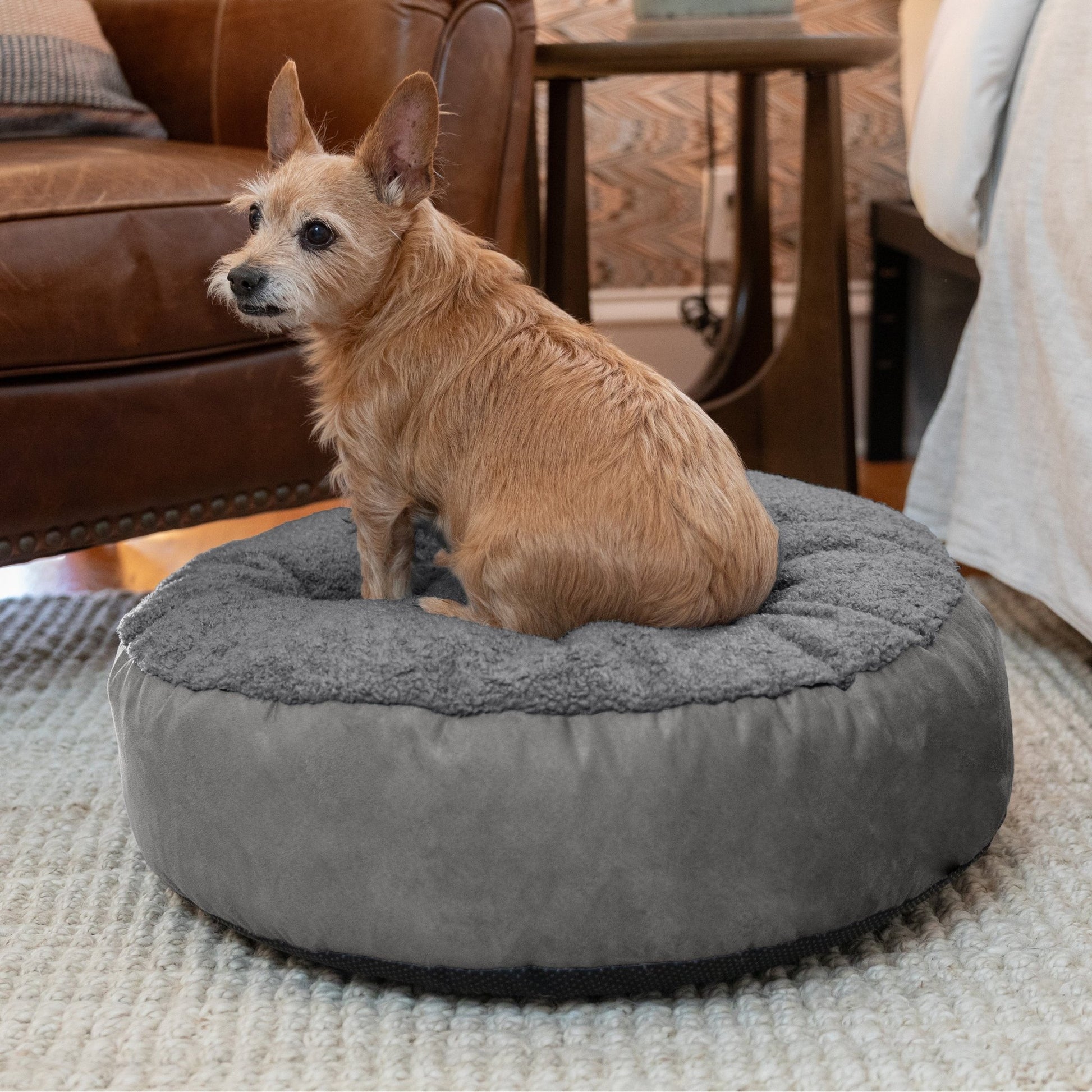Jaxx Robbi Round Pet Bed, Small (JAX - 19727) - SchoolOutlet