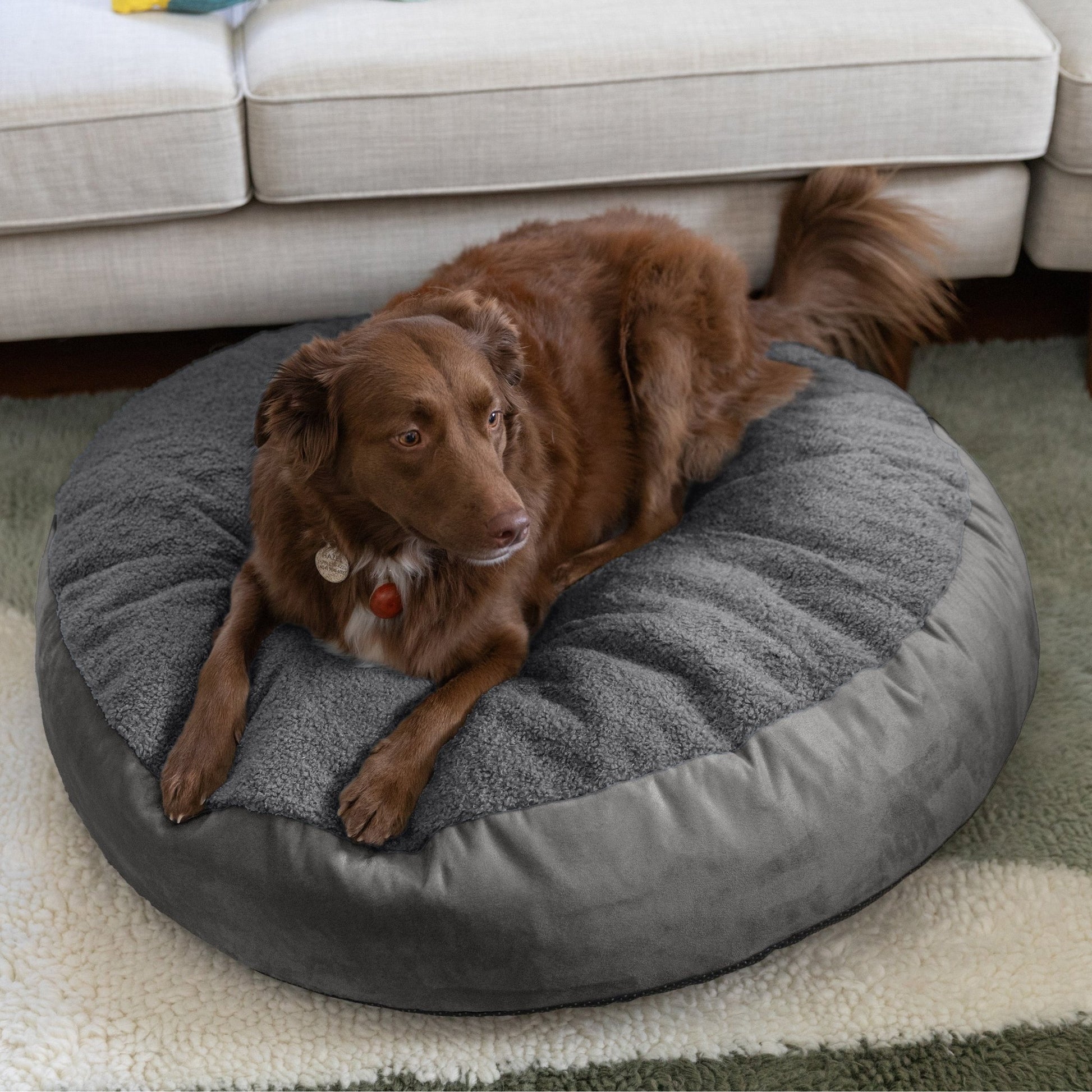 Jaxx Robbi Round Pet Bed, Medium (JAX - 19728) - SchoolOutlet