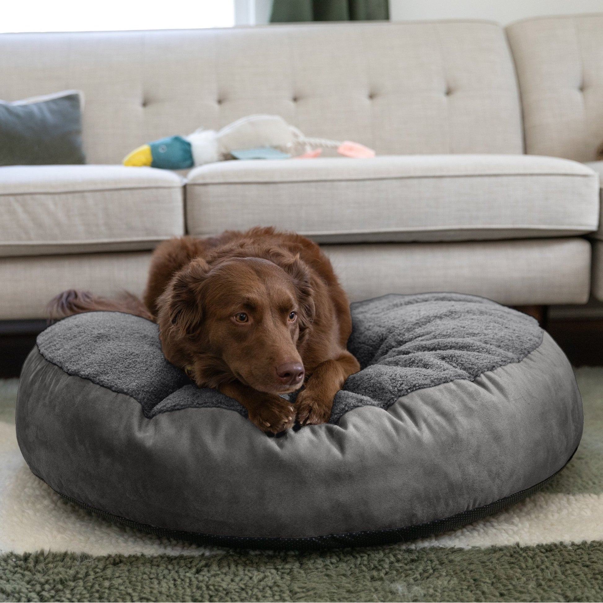 Jaxx Robbi Round Pet Bed, Medium (JAX - 19728) - SchoolOutlet