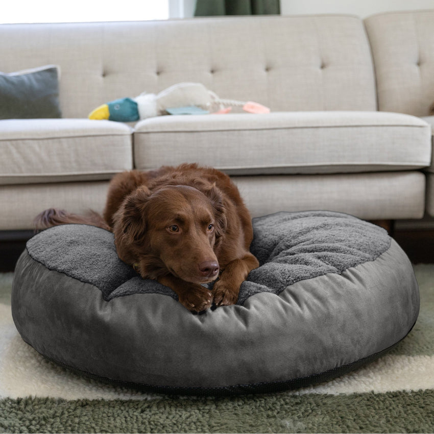 Jaxx Robbi Round Pet Bed, Medium (JAX - 19728) - SchoolOutlet