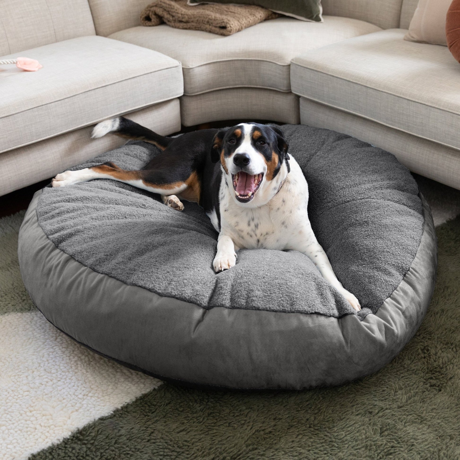 Jaxx Robbi Round Pet Bed, Large (JAX - 19729) - SchoolOutlet