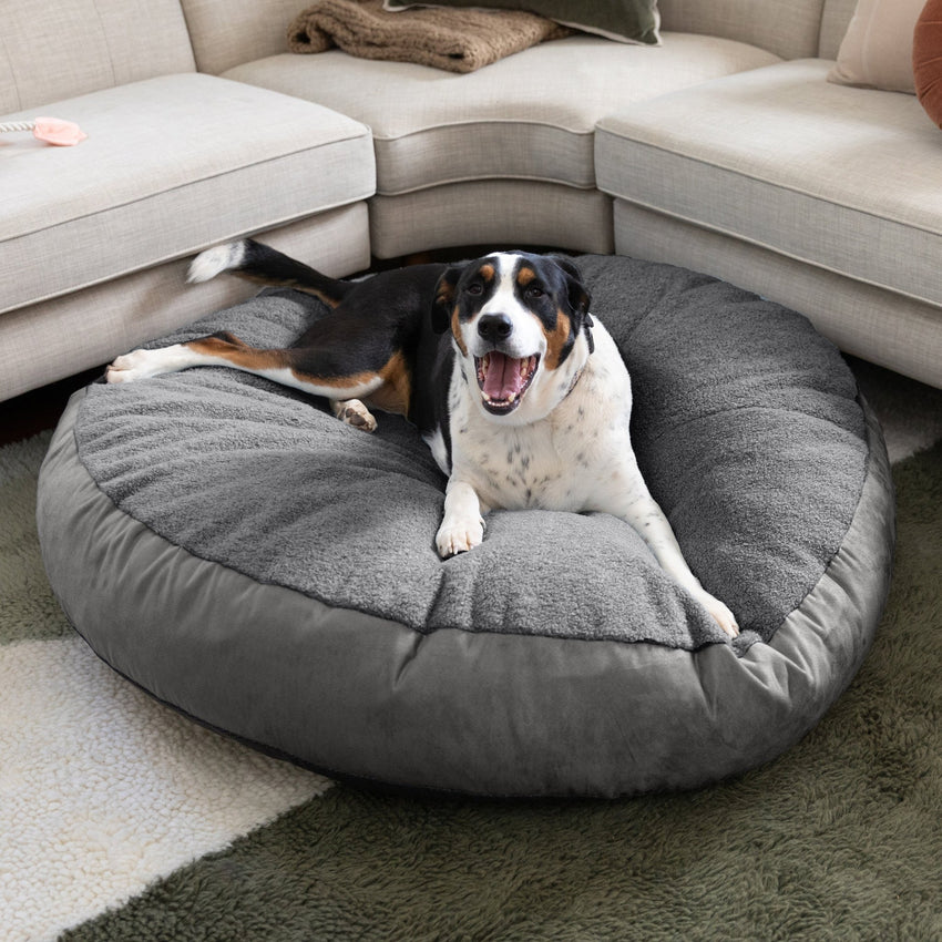 Jaxx Robbi Round Pet Bed, Large (JAX - 19729) - SchoolOutlet