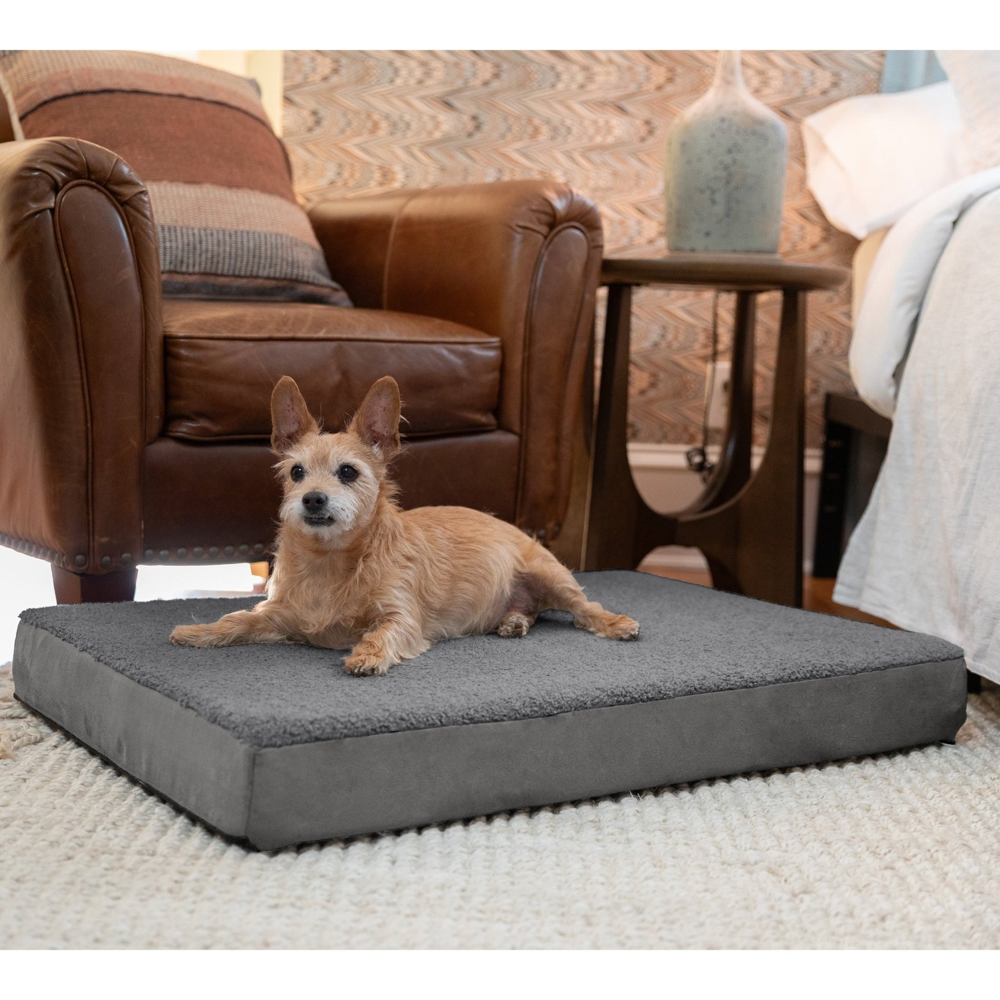 Jaxx Cubbi Dog Bed - Plush Boucle Sherpa Top for Cozy Comfort, Supportive Memory Foam for Joint Pain Relief, No - Slip Base for Stability, Machine Washable Cover and Waterproof Liner, Medium (19751) - SchoolOutlet