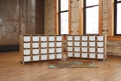 TrueModern Twenty-Cubbie Shelf - with See-Thru Cubbie-Trays