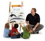 Jonti - Craft Teachers' Standard Easel - Write - n - Wipe - SchoolOutlet