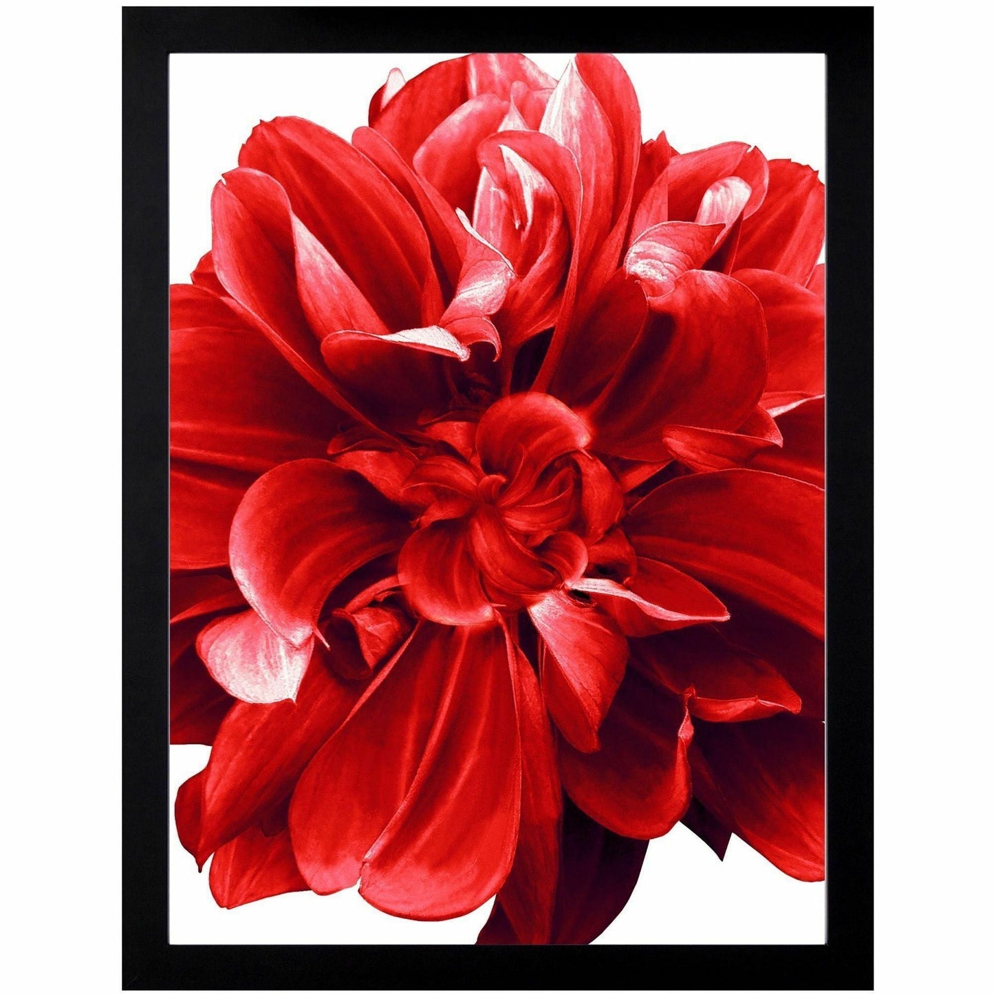 Lorell Wide Document Frame 18 x 24 Rectangle Display Frame Set of 8 (LLR - LLR49312CT) - SchoolOutlet