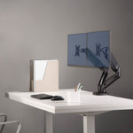 Lorell Dual Monitor Mounting Arm Height Adjustable Black (LLR - LLR99801) - SchoolOutlet