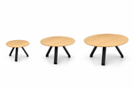 Magnuson Biophilic Architectural Small Side Table For Indoor - 19.5