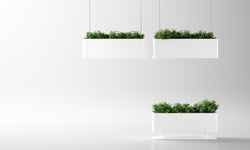 Magnuson GREENLIGHT-C Rectangular Aluminum Hanging Planter with Internal Liner and Adjustable Steel Suspension Kit (MAG-GREENLIGHT-C-XXX)