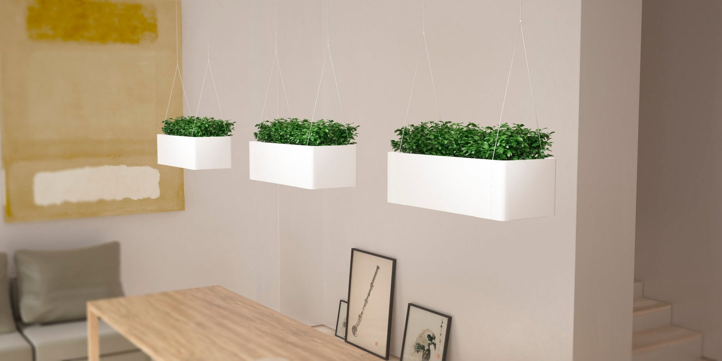 Magnuson GREENLIGHT - C Rectangular Aluminum Hanging Planter with Internal Liner and Adjustable Steel Suspension Kit (MAG - GREENLIGHT - C - XXX) - SchoolOutlet