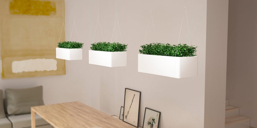 Magnuson GREENLIGHT - C Rectangular Aluminum Hanging Planter with Internal Liner and Adjustable Steel Suspension Kit (MAG - GREENLIGHT - C - XXX) - SchoolOutlet