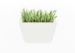 Magnuson KST-1232L-H-PL High Kastan Wide Rectangular Painted Steel Planter with Aluminum Top and Sealed Internal Liner (MAG-KST-1232L-H-PL-XXX)