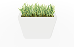 Magnuson KST - 1436L - H - PL High Kastan Wide Rectangular Painted Steel Planter with Aluminum Top and Sealed Internal Liner (MAG - KST - 1436L - H - PL - XXX) - SchoolOutlet