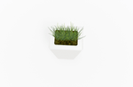 Magnuson KST - 1612L - H - PL High Kastan Rectangular Painted Steel Planter with Aluminum Top and Sealed Internal Liner (MAG - KST - 1612L - H - PL - XXX) - SchoolOutlet