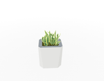 Magnuson KST - 1612L - M - PL Kastan Mid - Height Rectangular Steel Planter with Aluminum Top and Sealed Internal Liner (MAG - KST - 1612L - M - PL - XXX) - SchoolOutlet