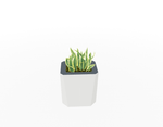 Magnuson KST - 1612L - M - PL Kastan Mid - Height Rectangular Steel Planter with Aluminum Top and Sealed Internal Liner (MAG - KST - 1612L - M - PL - XXX) - SchoolOutlet