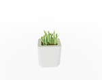 Magnuson KST - 1612L - M - PL Kastan Mid - Height Rectangular Steel Planter with Aluminum Top and Sealed Internal Liner (MAG - KST - 1612L - M - PL - XXX) - SchoolOutlet