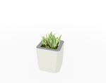 Magnuson KST - 1616L - M - PL Mid - Height Square Painted Steel Planter with Aluminum Top and Sealed Internal Liner (MAG - KST - 1616L - M - PL - XXX) - SchoolOutlet