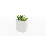 Magnuson KST - 1616L - M - PL Mid - Height Square Painted Steel Planter with Aluminum Top and Sealed Internal Liner (MAG - KST - 1616L - M - PL - XXX) - SchoolOutlet
