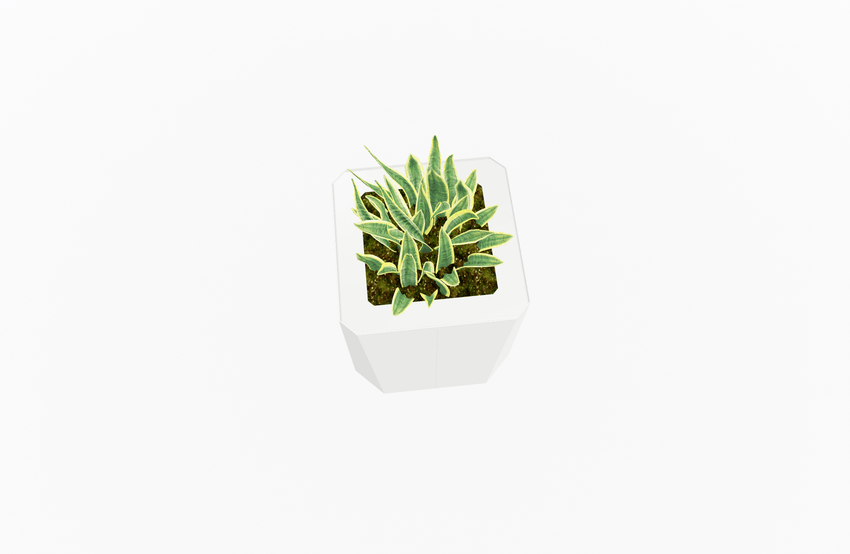 Magnuson KST - 1616L - M - PL Mid - Height Square Painted Steel Planter with Aluminum Top and Sealed Internal Liner (MAG - KST - 1616L - M - PL - XXX) - SchoolOutlet