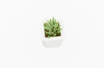 Magnuson KST - 1616L - M - PL Mid - Height Square Painted Steel Planter with Aluminum Top and Sealed Internal Liner (MAG - KST - 1616L - M - PL - XXX) - SchoolOutlet