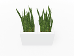 Magnuson Double - Compartment Wide Painted Steel Indoor Planter with Dual Removable Tops and Internal Liners (MAG - PIC - 2x30 - PL - PL - XXX) - SchoolOutlet