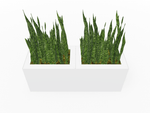 Magnuson Double - Compartment Wide Painted Steel Indoor Planter with Dual Removable Tops and Internal Liners (MAG - PIC - 2x45R - PL - PL - XXX) - SchoolOutlet