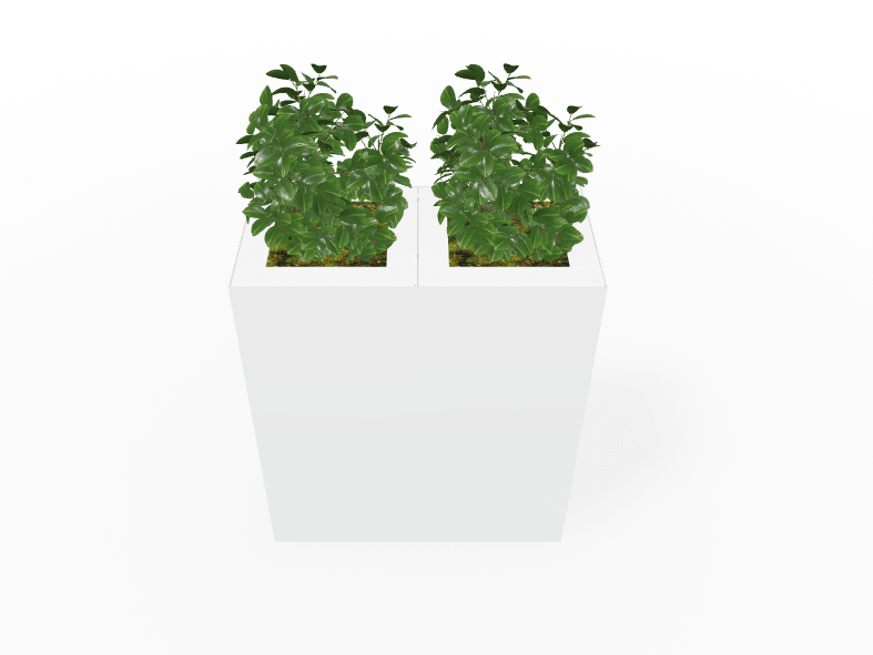 Magnuson Double - Compartment Wide Painted Steel Indoor Planter with Dual Removable Tops and Internal Liners (MAG - PIC - 2x60 - PL - PL - XXX) - SchoolOutlet