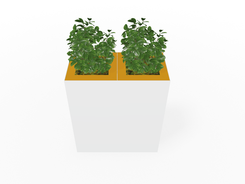 Magnuson Double - Compartment Wide Painted Steel Indoor Planter with Dual Removable Tops and Internal Liners (MAG - PIC - 2x60 - PL - PL - XXX) - SchoolOutlet