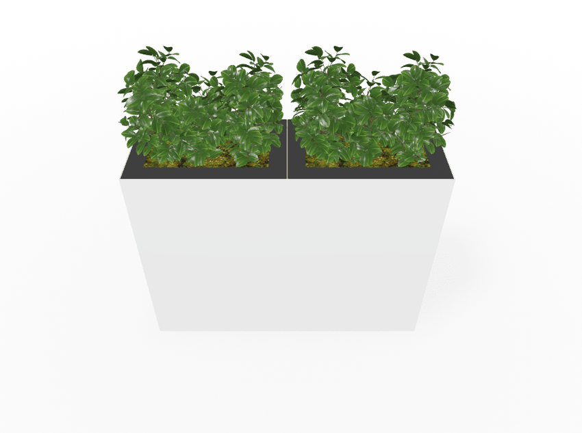 Magnuson Double - Compartment Wide Painted Steel Indoor Planter with Dual Removable Tops and Internal Liners (MAG - PIC - 2x90R - PL - PL - XXX) - SchoolOutlet