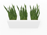 Magnuson Triple - Compartment Wide Painted Steel Indoor Planter with Three Removable Tops and Internal Liners (MAG - PIC - 3x30 - PL - PL - PL - XXX) - SchoolOutlet
