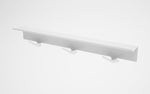 Magnuson Painted Steel 3 Double Pronged Hook Strip with Shelf (MAG - STAL - 3 - P) - SchoolOutlet