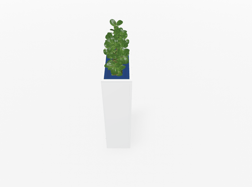 Magnuson Rectangular Painted Steel Indoor Planter with Internal Rigid Liner and Adjustable Glides (MAG - VA1809L - P - XXX) - SchoolOutlet