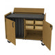 Instrument Storage & Cabinets