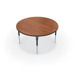 Mooreco Activity Table - 48