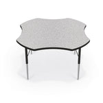 Mooreco Activity Table - 48