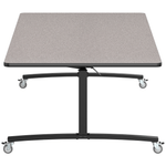 NPS Mobile Flipper Table - Space - Saving, Durable & Easy Mobility 48