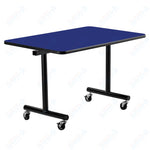 NPS ToGo Table, 30
