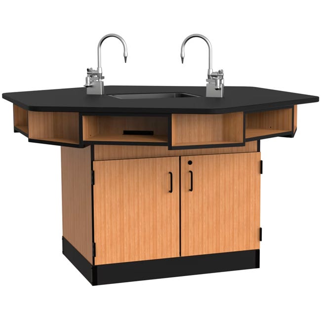 NPS 6 - Person Workstation Phenolic Top Cabinet Base Epoxy Sink and Gas Fixtures - Lab Furniture (NPS - WSHP - CXSESGF) - SchoolOutlet