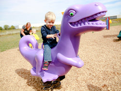 Playground Equipment Charlie Chomper Fun Bounce (PFB008)