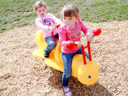 Playground Equipment Bumbling Betsy Fun Bounce (PFB005)